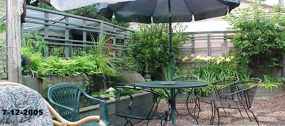 My koi pond in 2005 for Koi pond greenhouse